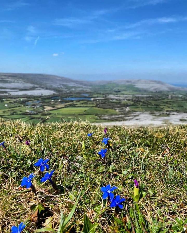 Burren Rock Farmhouse B&B Turlough  Εξωτερικό φωτογραφία